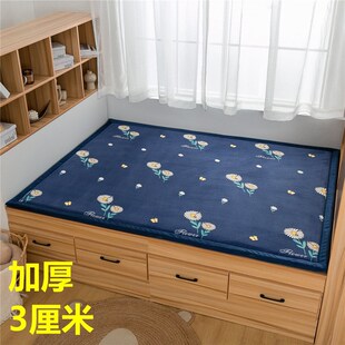3cm榻榻米垫子防滑薄款 一件代发 床褥H软垫农村炕垫家用打地铺床