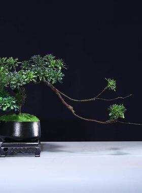 古意迎客松景小摆件家居博MP00MP00229禅2架电视盆柜2茶几中式9仿