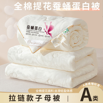 桑蚕丝全棉加厚保暖冬被春秋被芯