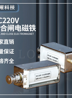 分合闸线圈电磁铁VS1 真空断路器线圈DC220V 160欧姆交直流 厂家