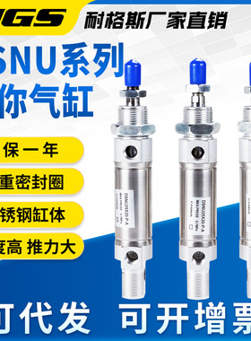 不锈钢迷你DSNU气缸16/20/25/32/40X25X50X75X80X100-P-A