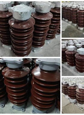 ZSW8-126/8-4     ZSW-252/4-2   防污型棒式支柱绝缘子