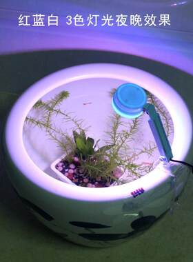 陶瓷圆缸专用照明灯圆形鱼缸防水LED彩灯鱼盆水草灯光节能小圆灯