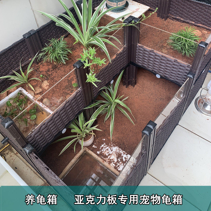 亚克力透明板配套宠物龟养殖v箱 陆龟黄缘幼龟 大龟专用箱有机玻,鲜花速递/花卉仿真/绿植园艺,花盆,淘宝优惠券,粉丝福利购,淘宝优惠卷
