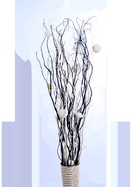 干花枝龙柳曲柳莲蓬树枝家居装A饰客厅玄关隔断橱窗插花装饰干花