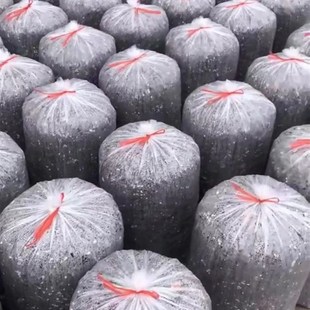 大理鹤庆b传统兰花配方营养土植料15公斤11合一包邮