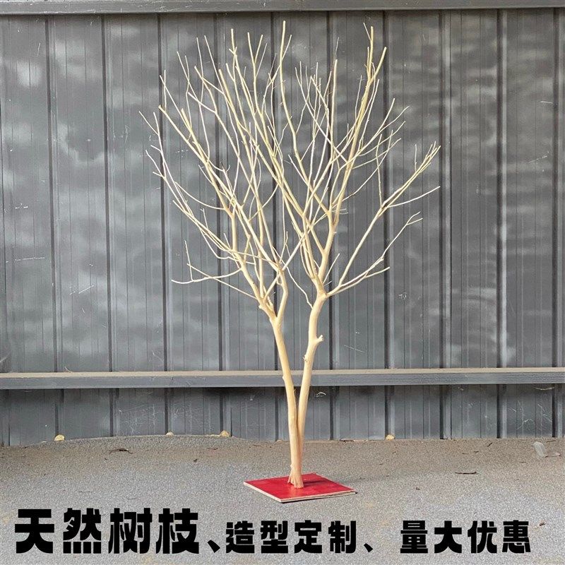 原木树枝干树枝h 树枝造景 室内造型树枝枯树枝装饰 去皮树枝 橱