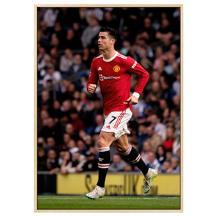 饰画客厅沙j发背景墙画酒吧玄关卧室壁画世界杯足球海报挂画 C罗装