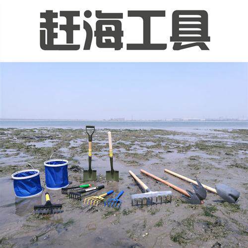 极速赶海工具挖生蚝蛤蜊耙子沙滩挖蛤贝壳海鲜蛏子蚬子螺海蛎子钩