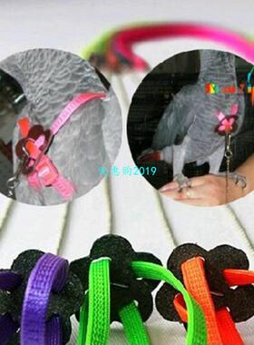 极速Parrot Bird Leash Outdoor Adjustable Harness Training Ro