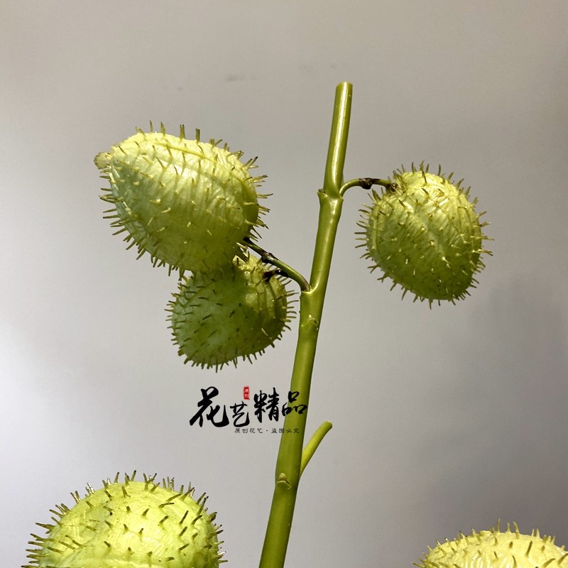仿真花枝果材钉头果n唐棉 河豚果 棒头果 风船唐棉花艺插花素材,鲜花速递/花卉仿真/绿植园艺,仿真果蔬,淘宝优惠券,粉丝福利购,淘宝优惠卷
