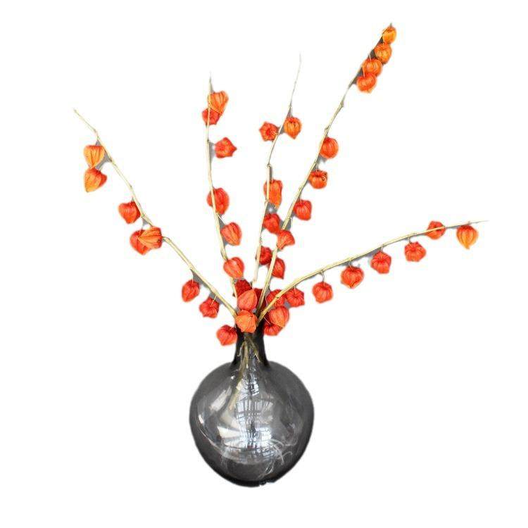 自然干花酸浆果植物装饰插花家居摆设拍摄道具