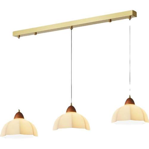 2025新款中古风法式餐厅吊灯中式胡桃色一字型玻璃罩吊线中山灯