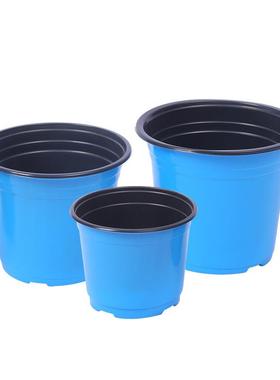 货源供应盆栽双色花盆PP塑料白花盆多肉育苗盆简易紫色蓝色双色盆