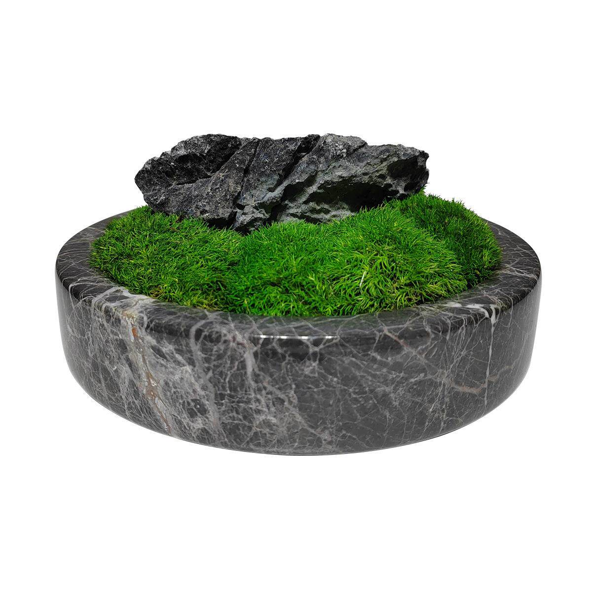现代永生苔藓青苔仿真植物微景观软装客厅茶几桌面餐桌装饰品摆件