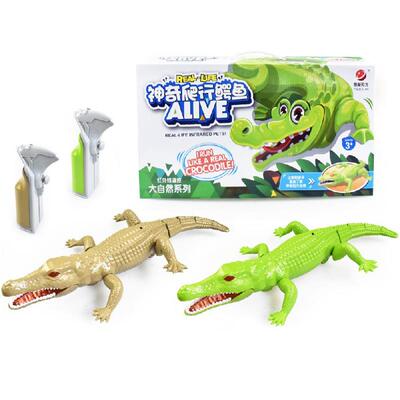 红外线遥控仿真鳄鱼儿童玩具模型亲子互动爬行两栖动物喷雾鲨鱼