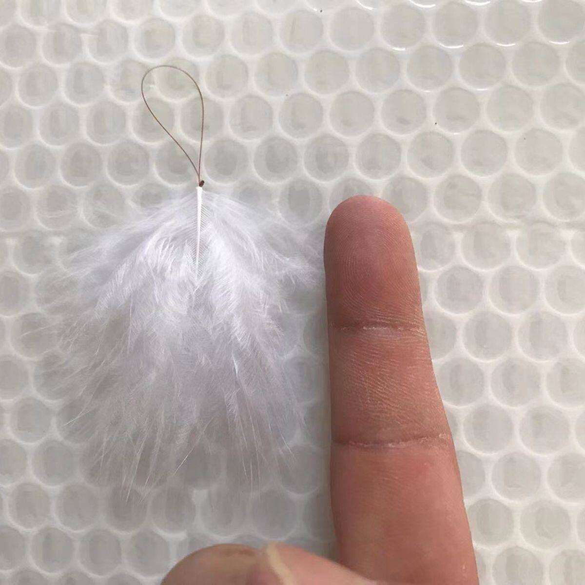 (追马蜂标)金环胡蜂标马蜂标黄脚黑盾黑尾蜂标胡蜂马蜂标追蜂蜂标