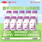 10瓶装 三元 芋你鲜活芋泥厚乳香芋早餐牛奶课间低温生牛乳200ml