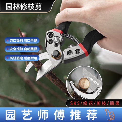 合金钢耐用花园果林园艺修枝剪刀