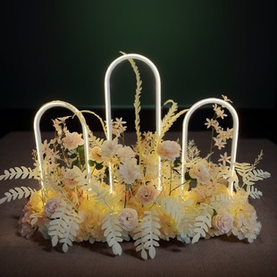 婚庆道具路引爱 n次方铁艺灯光架婚礼舞台绢花路引发光彩虹路引