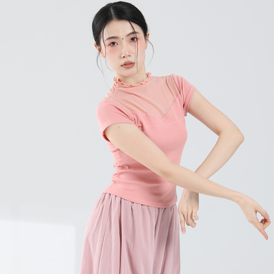夏季成人现代舞蹈服短袖上衣网纱高龄舞蹈练功服中国古典跳舞服女