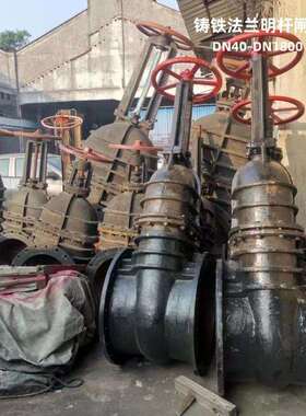 福燕阀门铸铁法兰明杆闸阀Z41T-10硬密封排污闸阀DN40-DN1800