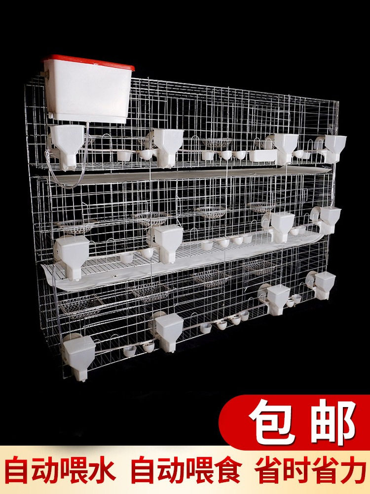 包邮鸽子笼家用用品12位养殖信鸽配对肉鸽繁殖鸽笼养殖笼笼子