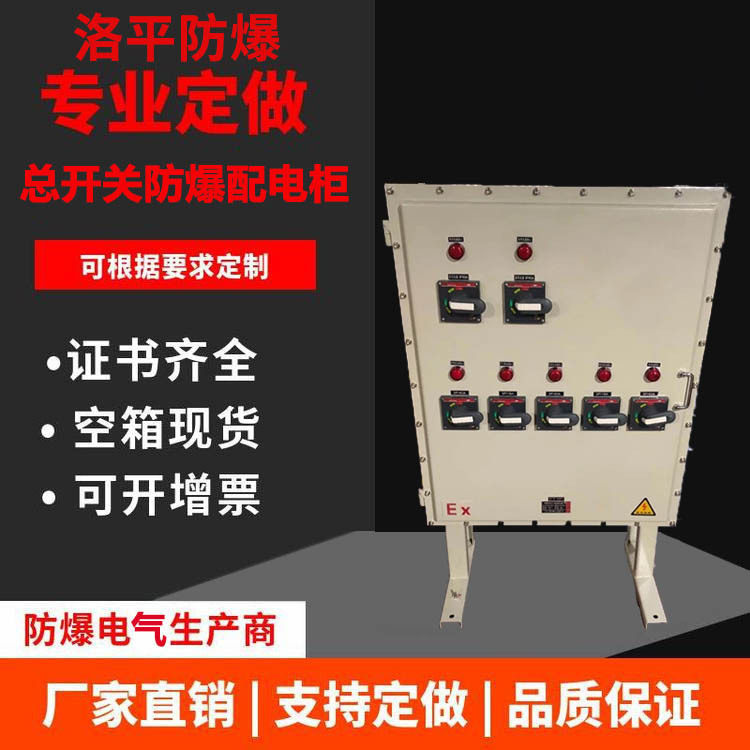 防爆照明配电箱BXMD-5/K25A检修动力配电柜开关电源接线盒防爆箱
