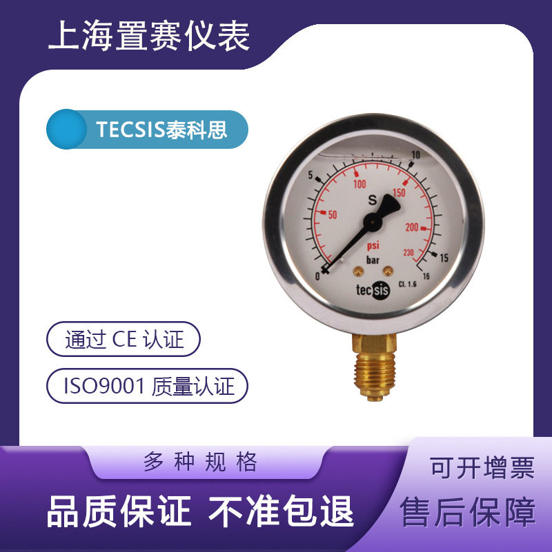 TECSISP14540-400kg压力表