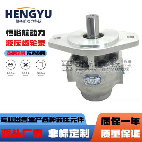 阜新液压高压齿轮泵CBF-E10PE16PE18PE25PE32PE40PXALP