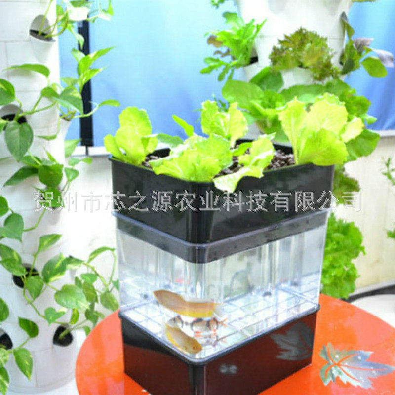 水耕无土栽培鱼菜共生系统设备鱼缸室内外水培蔬菜种植箱阳台种菜