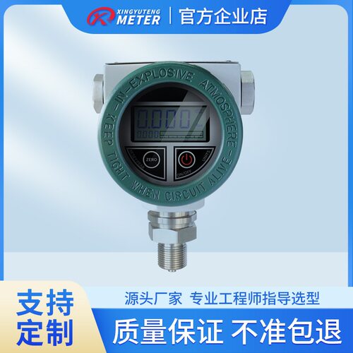 四位液晶数显压力表BP供电防爆