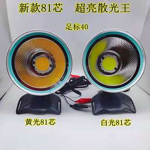 跨境外贸1209S81芯COB12V宽电压头灯感应白光黄光夜钓氙气LED灯头