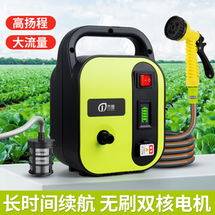 抽水泵家用菜地灌溉神器洒水器喷头农用水池吸水机 自动浇水充电式