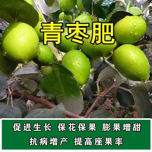 青枣专用肥青枣苗肥料家用通用型氮磷钾复合肥硕果盆栽缓释有机肥