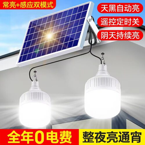太阳能灯超亮led露营路灯照明夜市地摊灯家用庭院一拖二室内灯泡