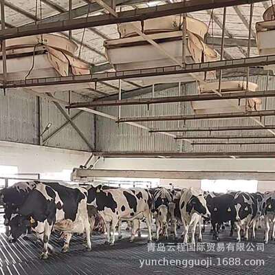 牛用马用猪用橡胶畜牧垫挤奶厅牛通道下牛台用防滑胶板青岛云程