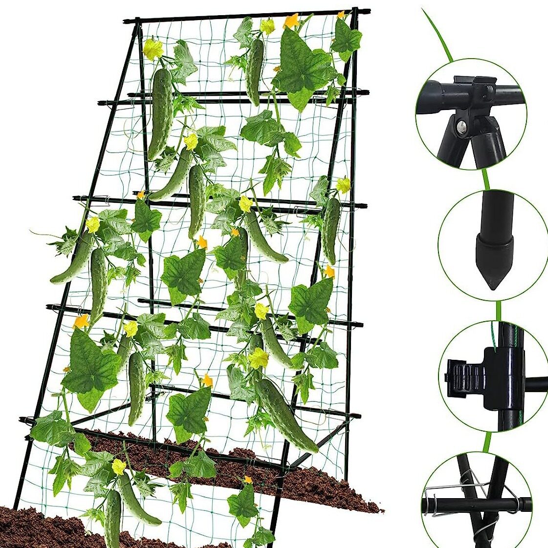种菜爬藤包塑管支架菜园种植黄瓜架子园艺蔬菜架杆丝瓜爬藤架支撑