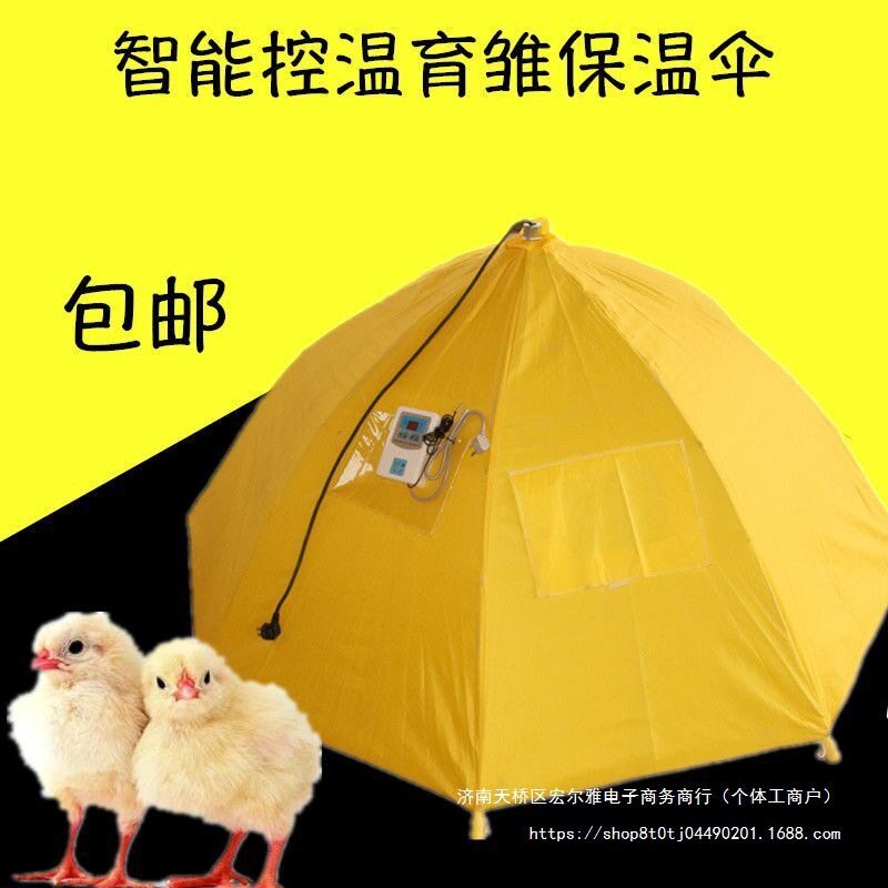自动控温育雏保温伞养殖设备小鸡用育雏保温伞育雏保温器默认项