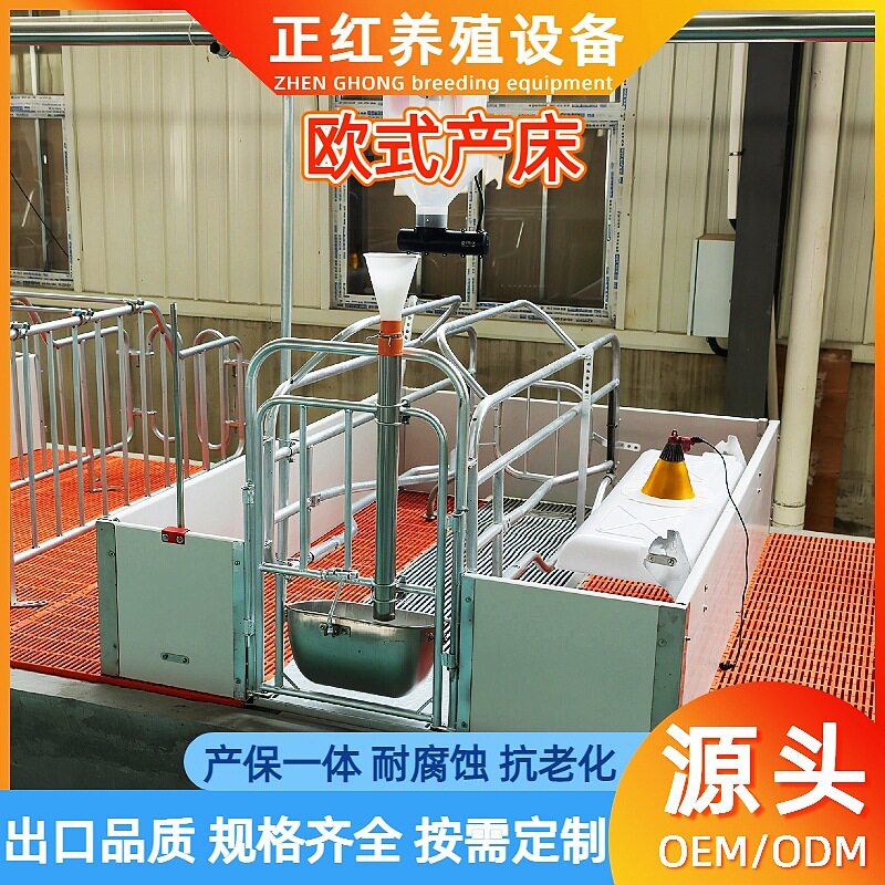 养殖场欧式母猪产床 畜牧养殖产保两用 单体双体母猪分娩仔猪产床