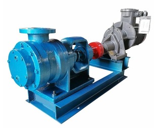 产地货源 NCB1.2微型转子泵 树脂沥青高粘度齿轮泵 铸铁内啮合泵