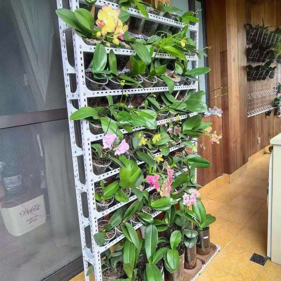角钢多层落地移动兰花架