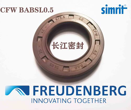 德国正品BABSL耐高压高温油封
