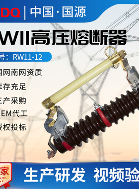 国源厂家RW11高压跌落式熔断器RW11-10/100A户外10KV陶瓷令克保险