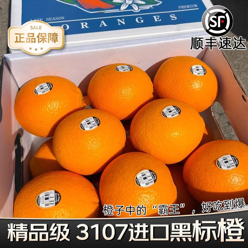 顺丰正宗3107黑标橙子