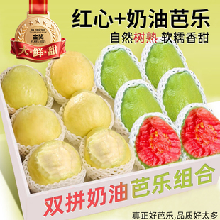 双拼红白心奶油芭乐水果新鲜 白软大番石榴南方低糖巴乐孕妇 包邮