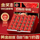 九九奶油非丹东 正宗99红颜草莓整箱大凉山新鲜水果应当季 顺丰 包邮