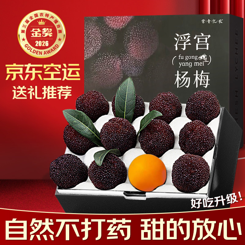 【新鲜不打药】漳州浮宫东魁非仙居杨梅鲜果新鲜特大现摘现发空运