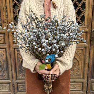 尤加利果干花花束家居装饰摆件北欧风复古场景装扮拍照插花桉树果