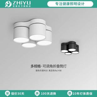 至御双头明装 灯可调三头四头天花灯客厅无主灯012 筒灯led吸顶式